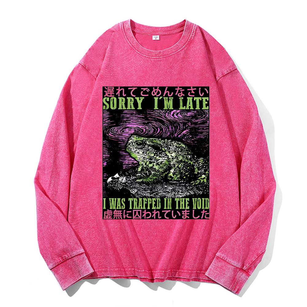 Vintage Cotton Wash Crewneck Long-Sleeve T-Shirt