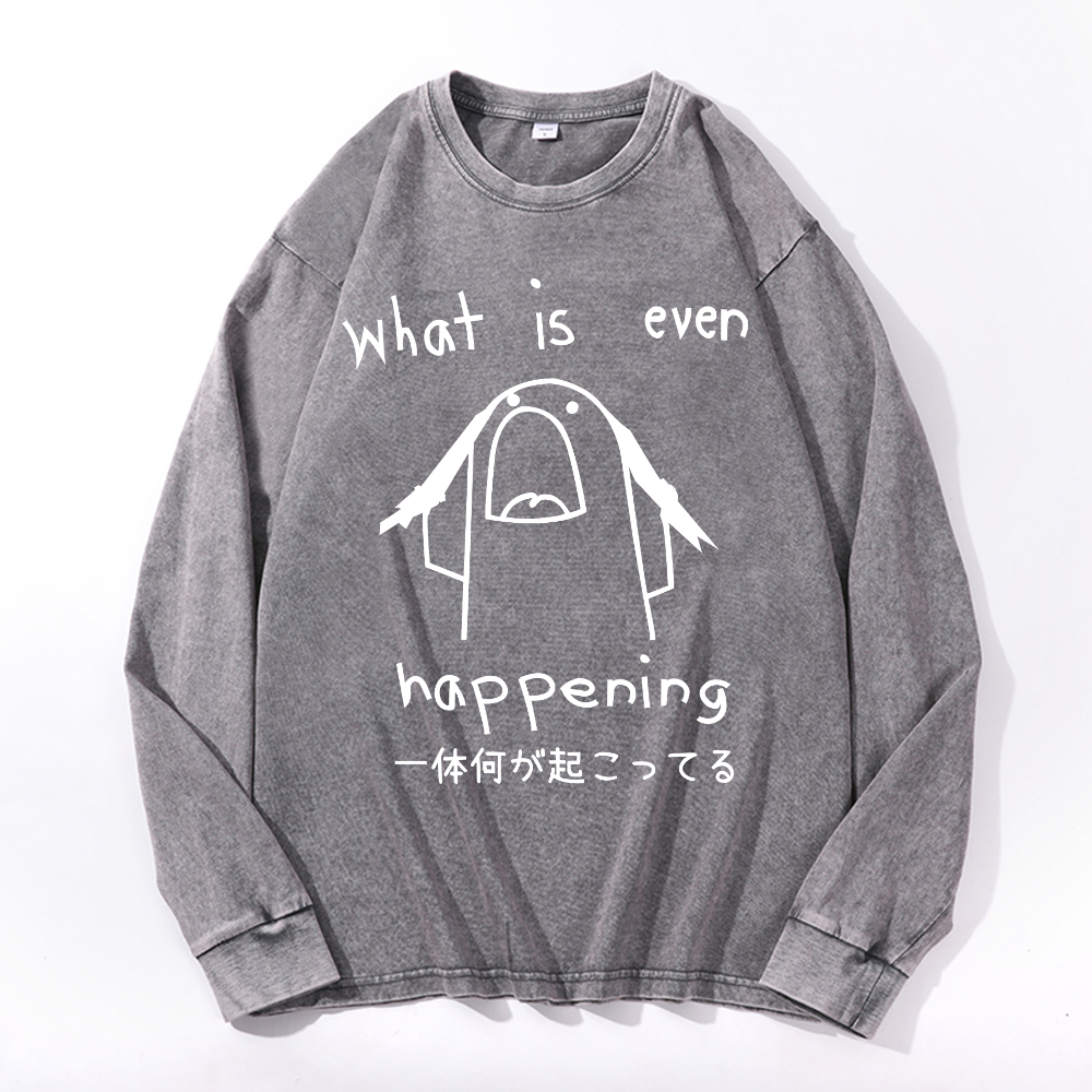 What Is Even Happening Vintage Cotton Wash Long-sleeve T-shirt