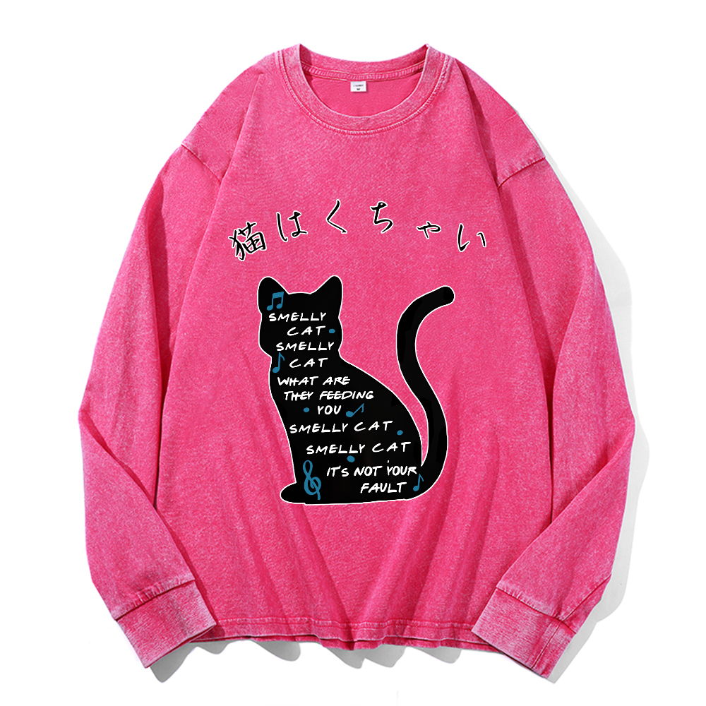 Vintage Cotton Wash Crewneck Long-Sleeve T-Shirt