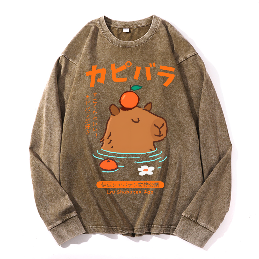 Capybara Vintage Cotton Wash Crewneck Long-Sleeve T-Shirt