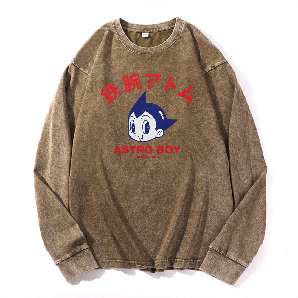 Vintage Cotton Wash Crewneck Long-Sleeve T-Shirt