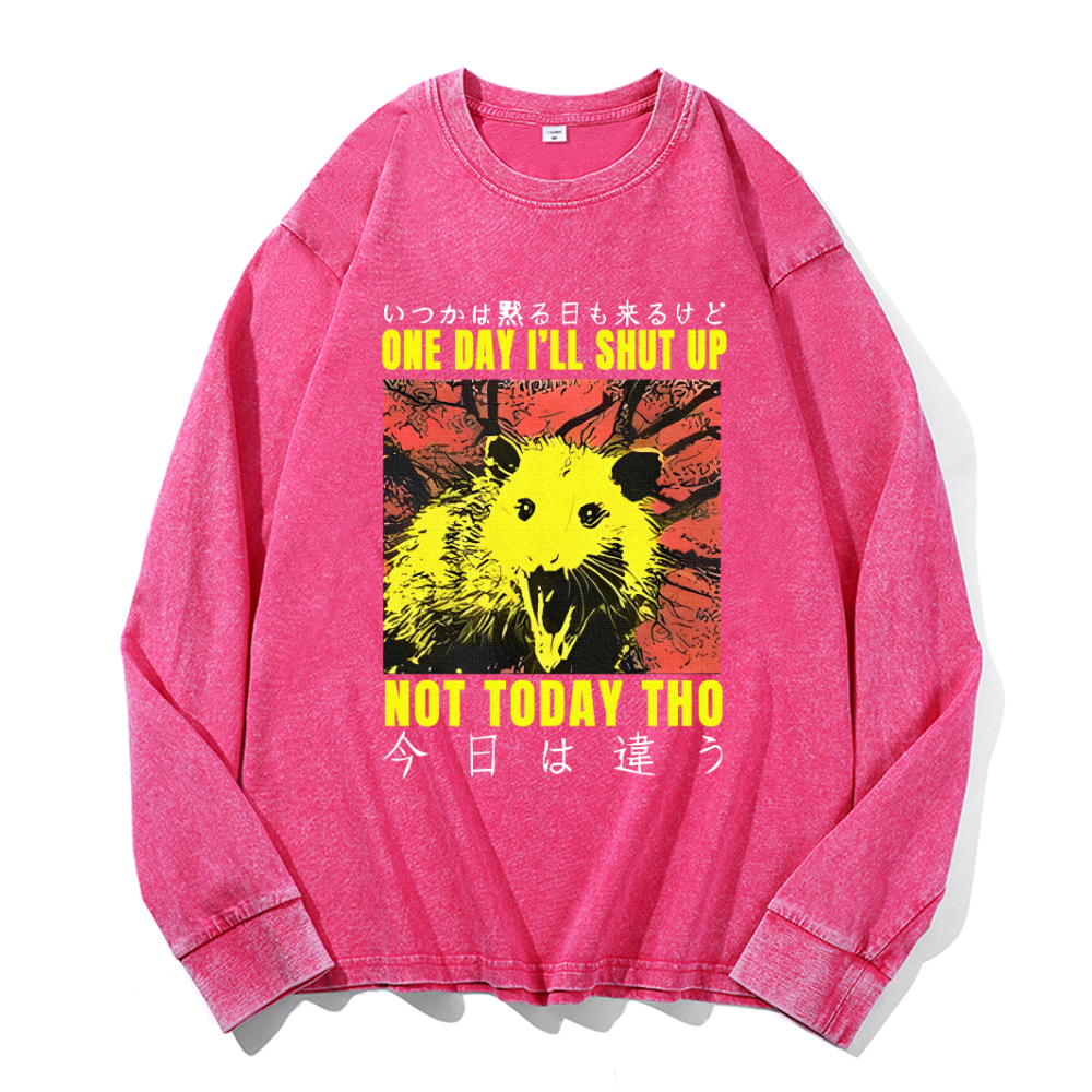Vintage Cotton Wash Crewneck Long-Sleeve T-Shirt