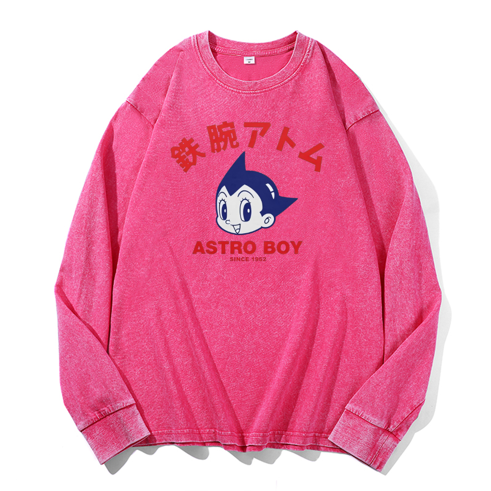 Vintage Cotton Wash Crewneck Long-Sleeve T-Shirt