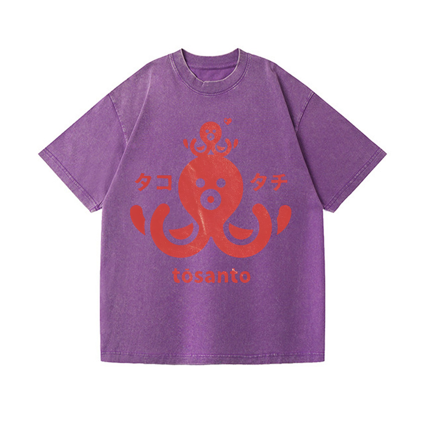 Tosanto Vintage Wash Japanese Design T-Shirt