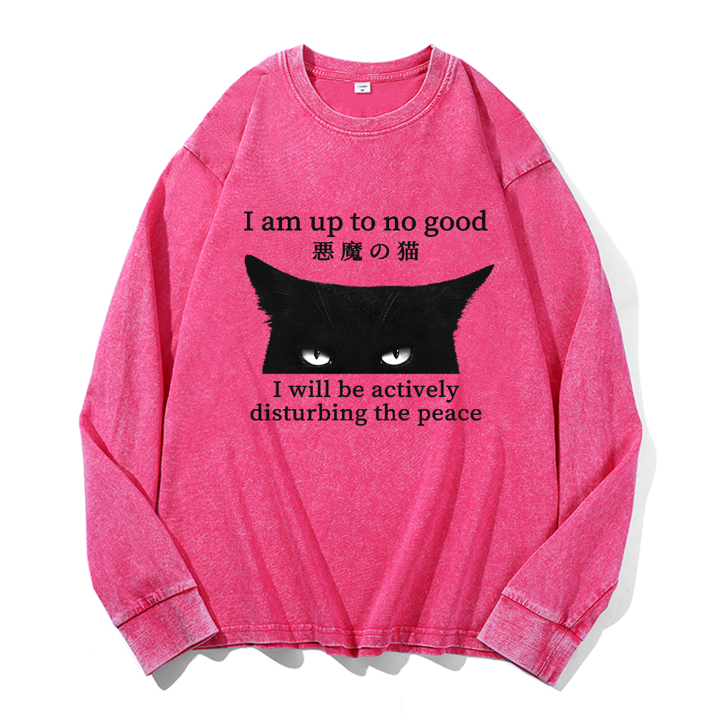 Black Devil Cat Vintage Cotton Wash Long-sleeve T-shirt