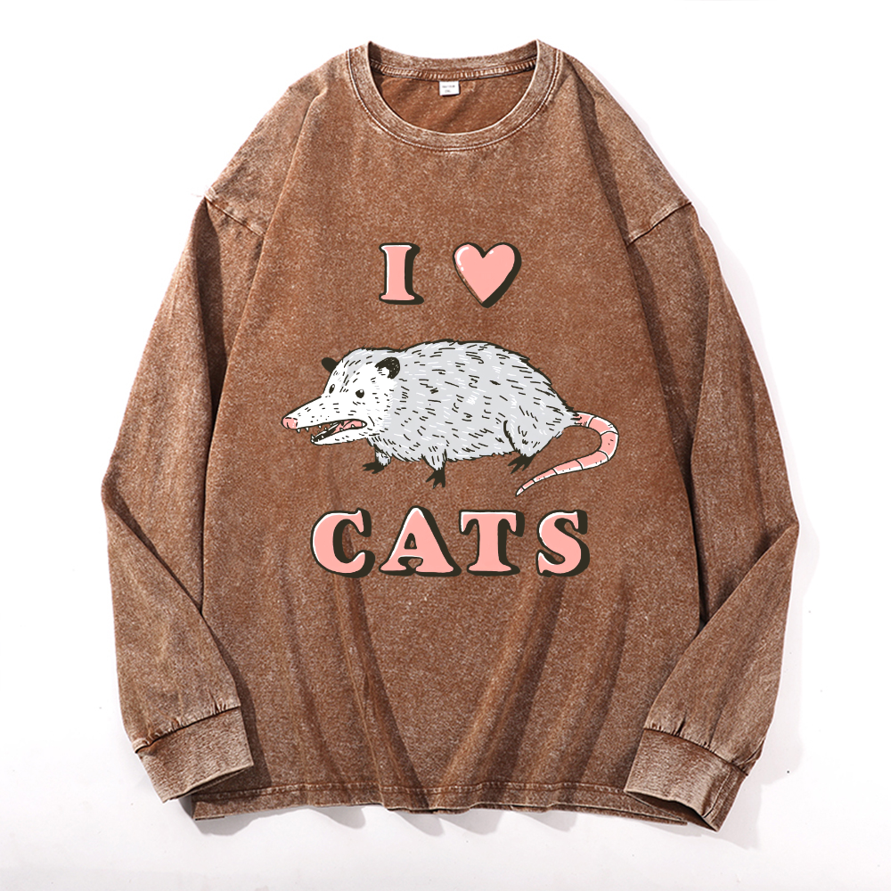 Vintage Cotton Wash Crewneck Long-Sleeve T-Shirt