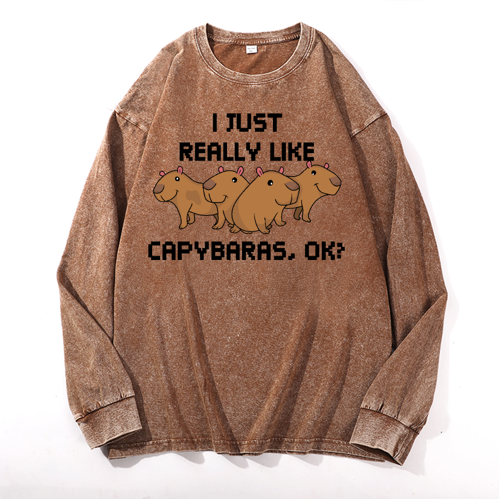 Capybara Vintage Cotton Wash Crewneck Long-Sleeve T-Shirt