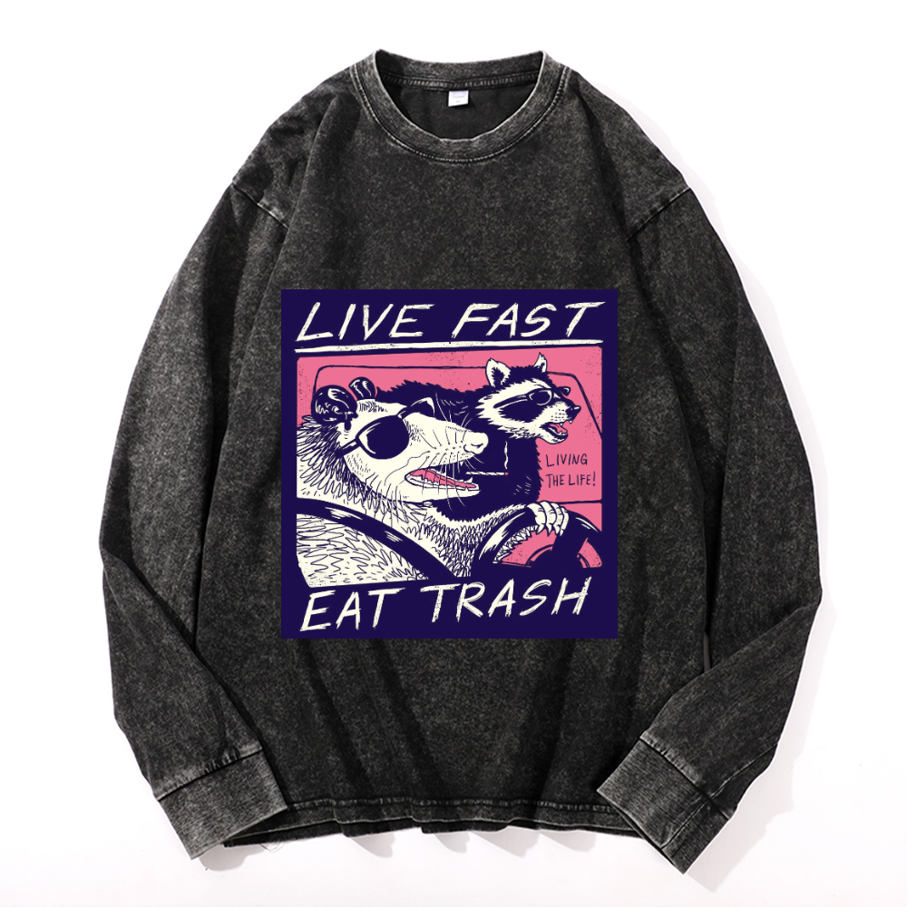 Vintage Cotton Wash Crewneck Long-Sleeve T-Shirt