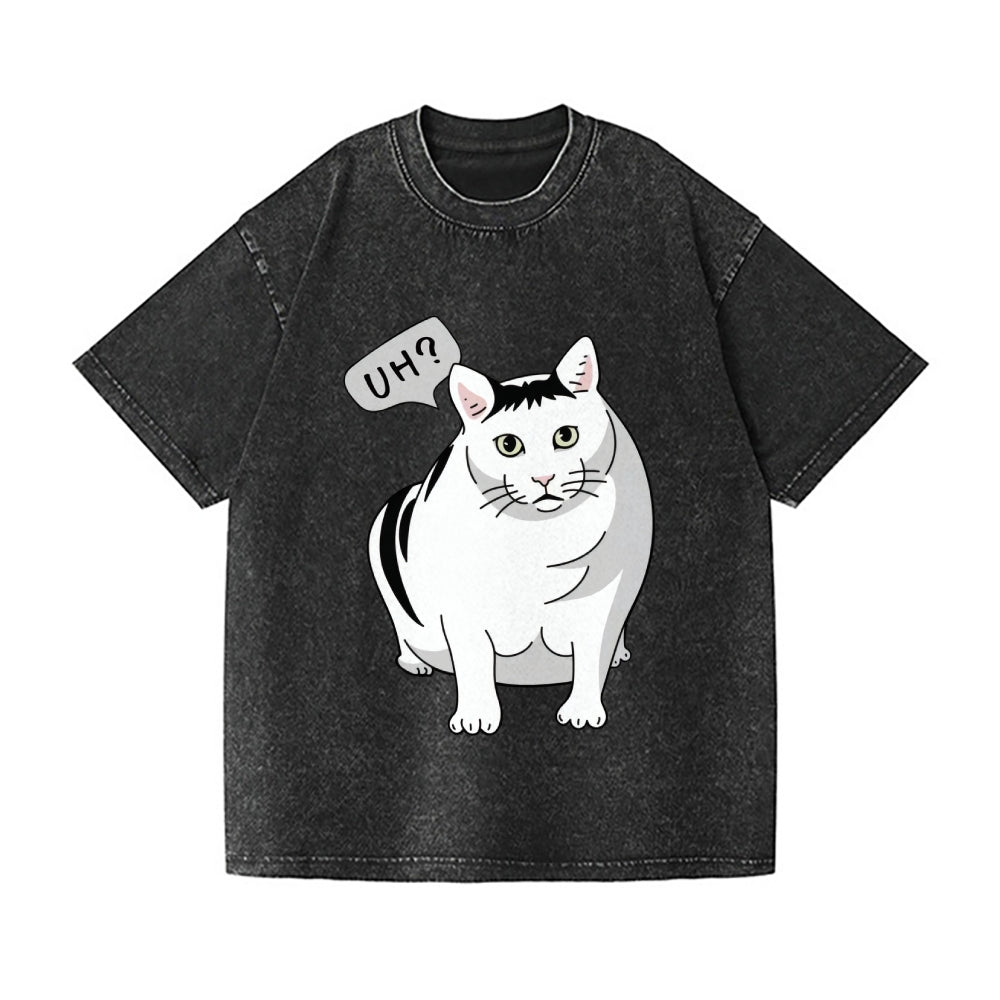 UH? Cat Vintage Wash Japanese Design T-Shirt