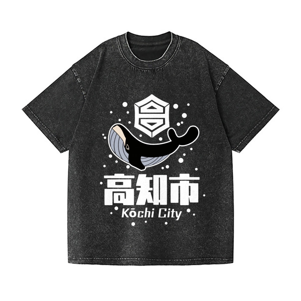 Daruma Ramen and Cat Vintage Wash Japanese Design T-Shirt