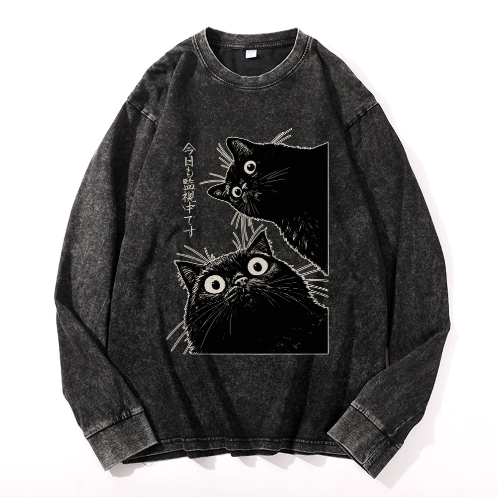The Cat is Watching Today Vintage Cotton Wash Crewneck Long-Sleeve T-Shirt