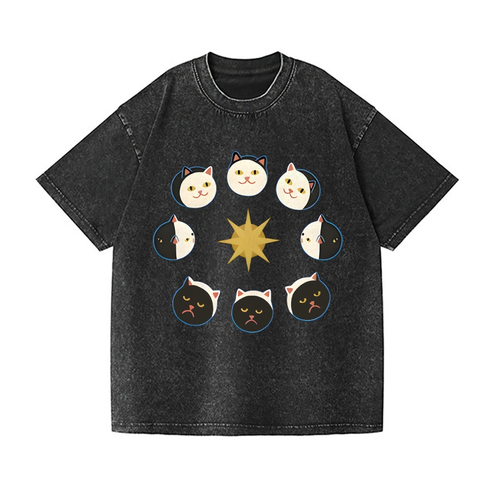 Tiger Eclipse Cat Vintage Wash Japanese Design T-Shirt