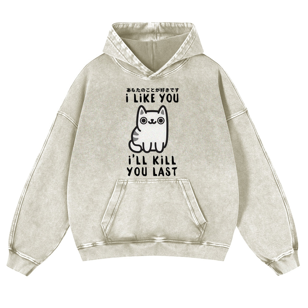Cat Vintage Washed Thick Cotton Hoodie