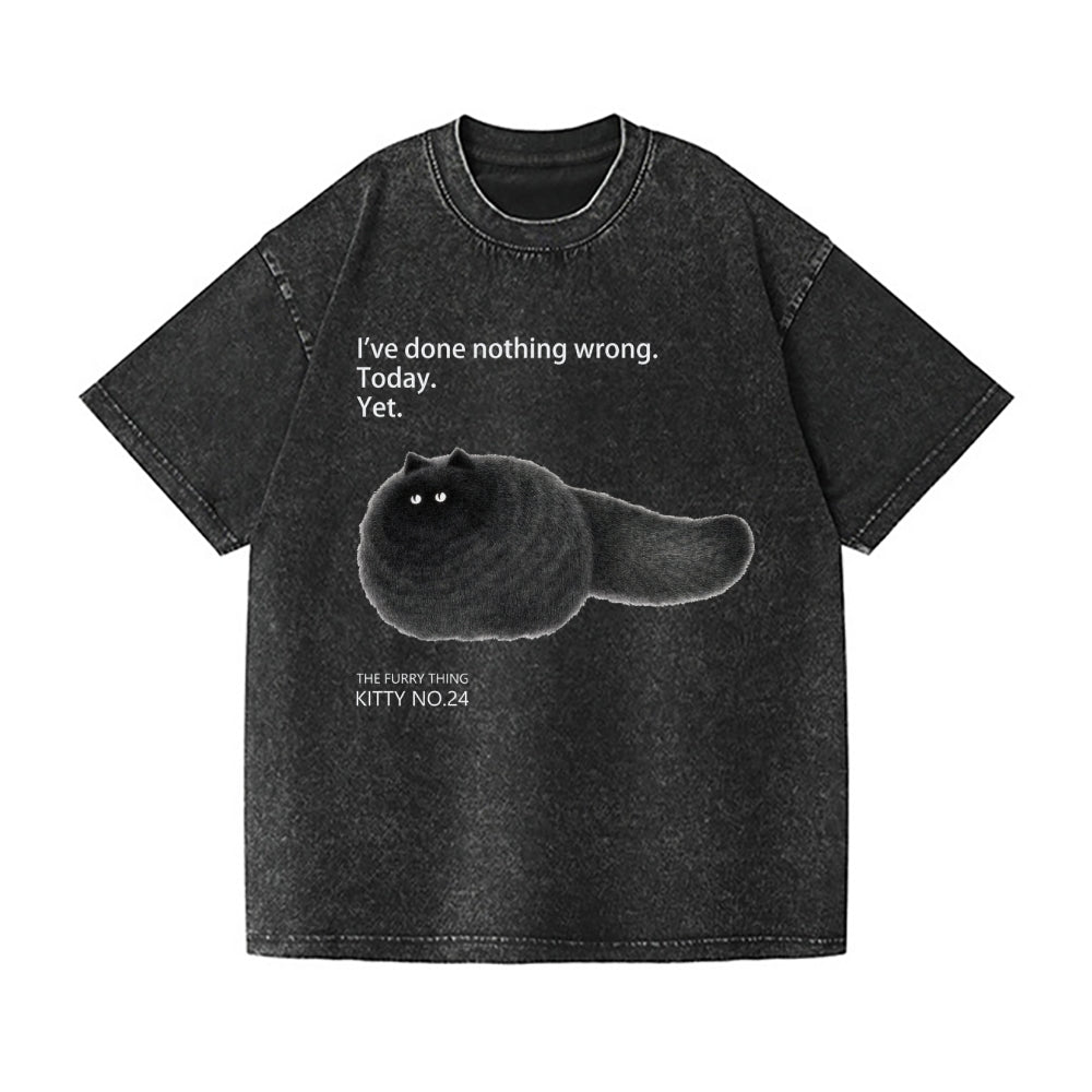 Black Cat Vintage Wash Japanese Design T-Shirt