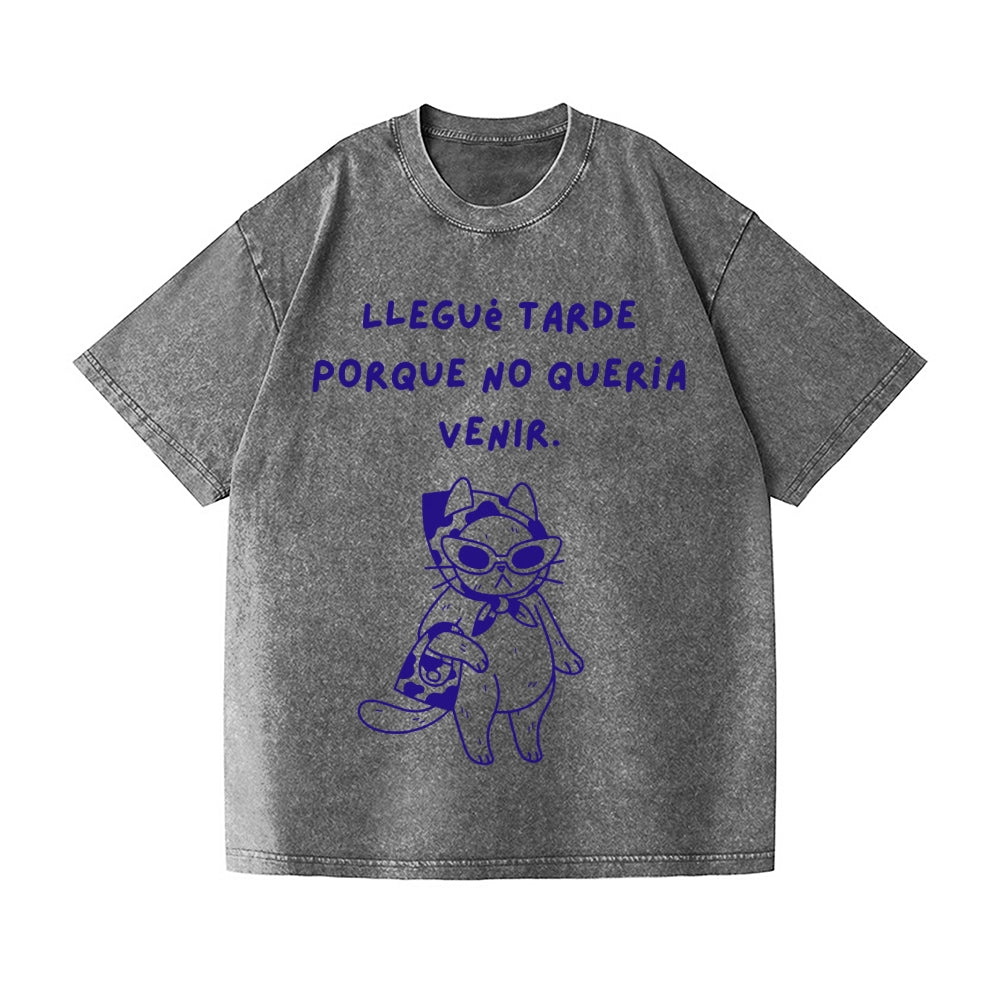 Cat Vintage Wash Japanese Design T-Shirt
