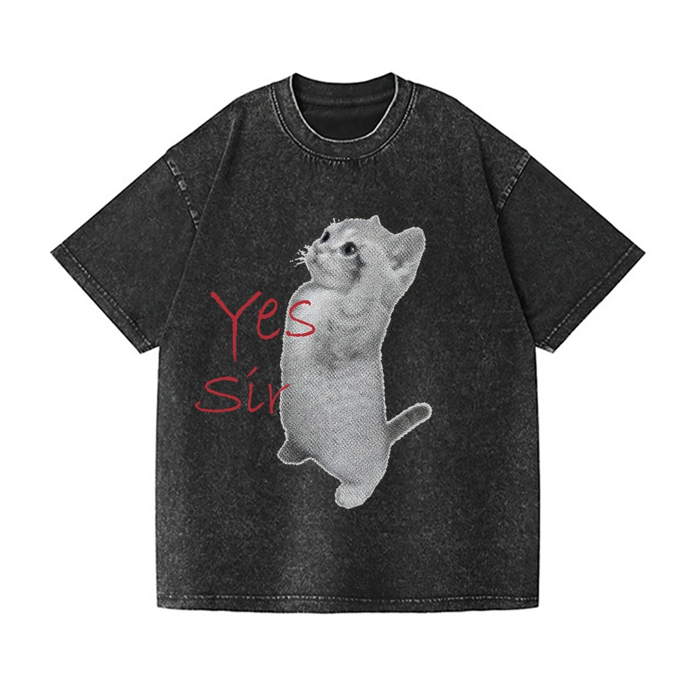 Salute Cat Vintage Wash Japanese Design T-Shirt