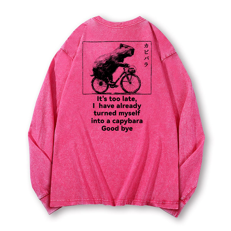 Capybara Vintage Washed Cotton Back Art Long-sleeve T-shirt