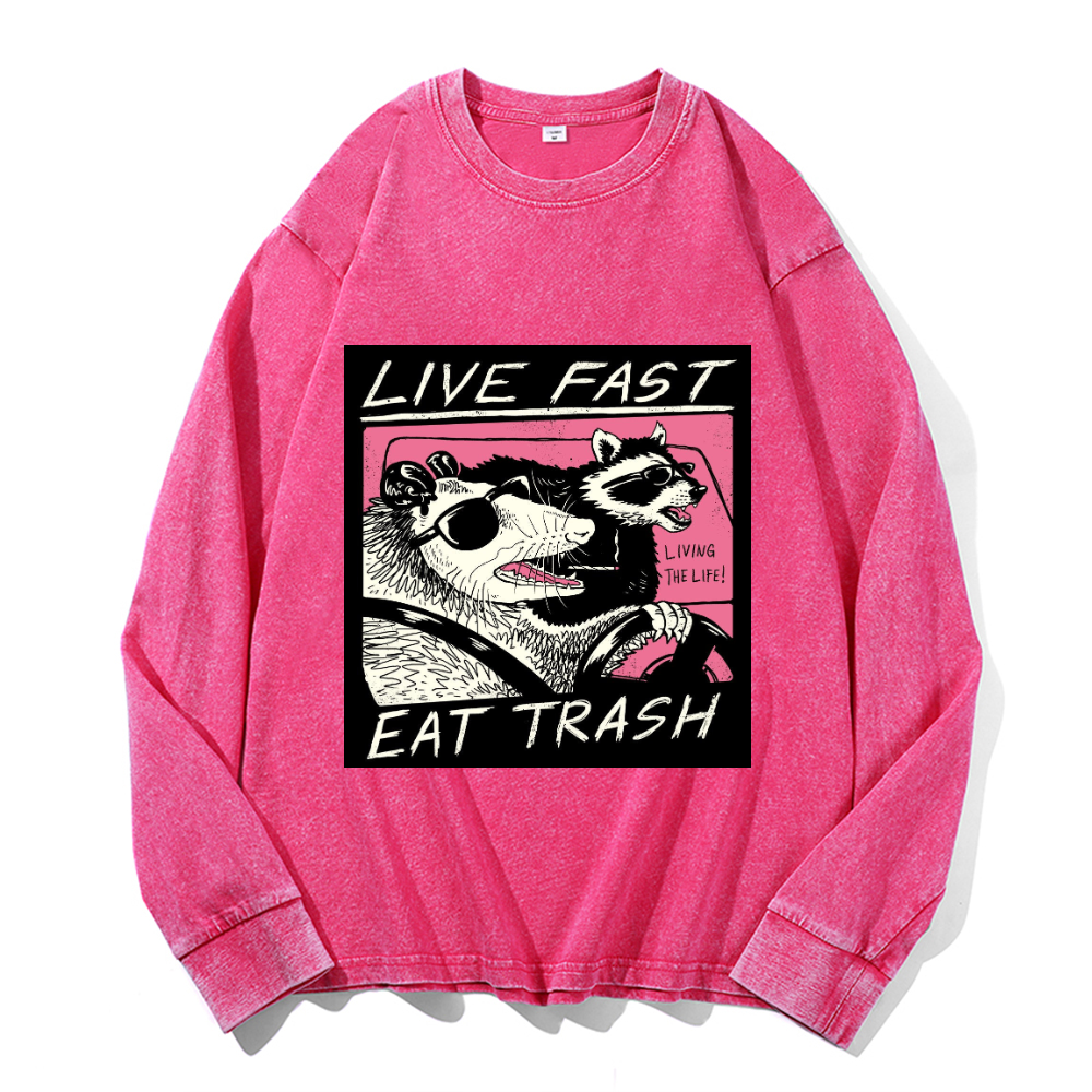 Vintage Cotton Wash Crewneck Long-Sleeve T-Shirt