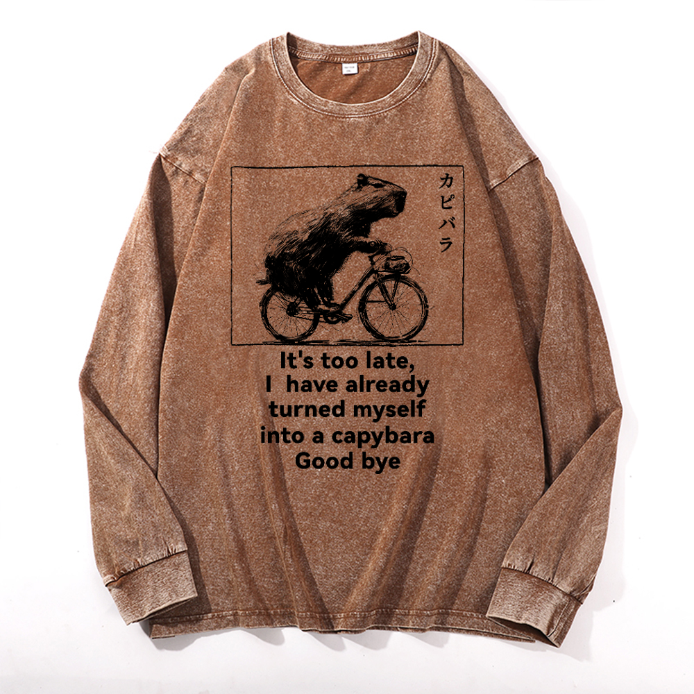 Capybara Vintage Cotton Wash Long-sleeve T-shirt