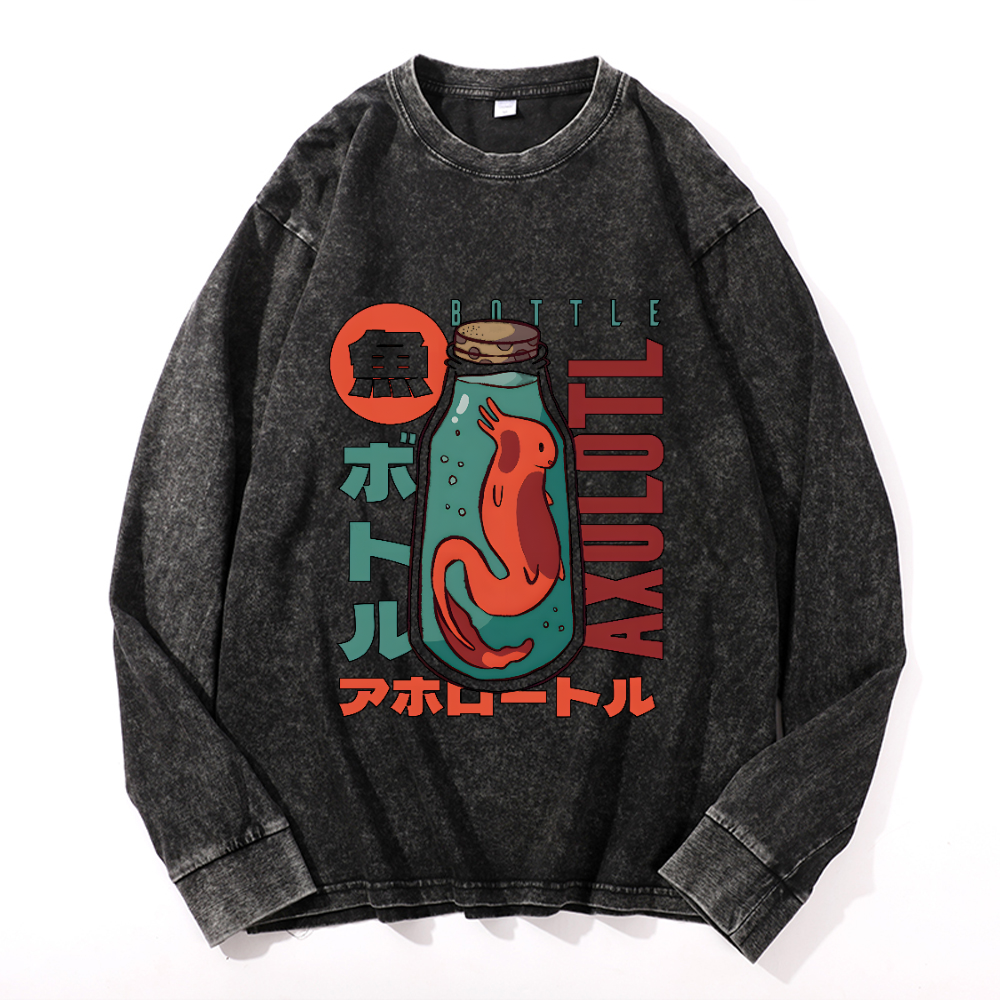 Vintage Cotton Wash Crewneck Long-Sleeve T-Shirt