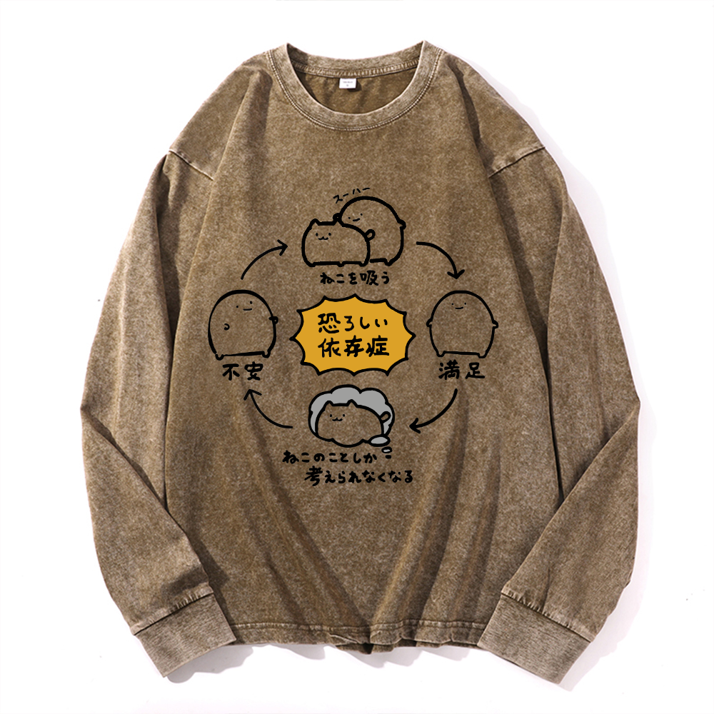 Vintage Cotton Wash Crewneck Long-Sleeve T-Shirt