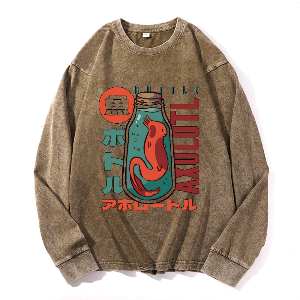 Vintage Cotton Wash Crewneck Long-Sleeve T-Shirt