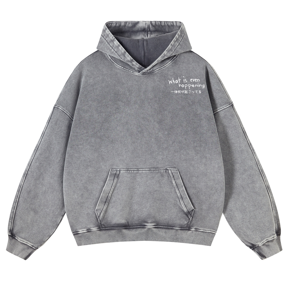 What Is Even Happening Vintage Washed Cotton Back Art Hoodie