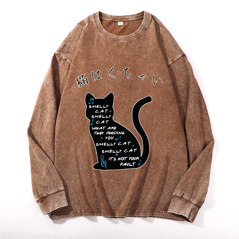 Vintage Cotton Wash Crewneck Long-Sleeve T-Shirt