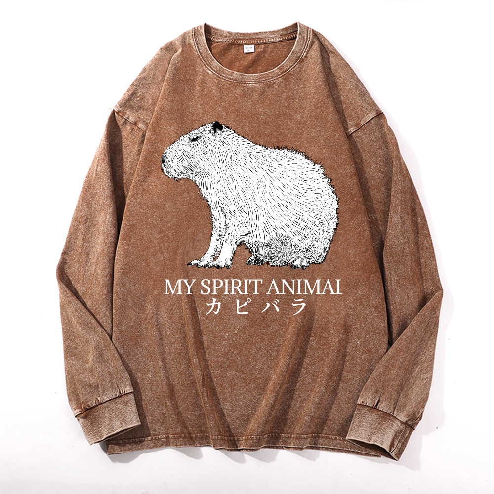 Capybara Vintage Cotton Wash Long-sleeve T-shirt