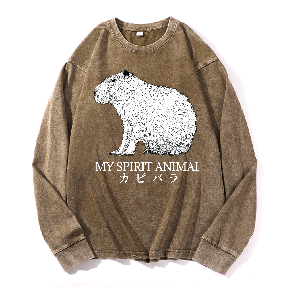 Capybara Vintage Cotton Wash Long-sleeve T-shirt