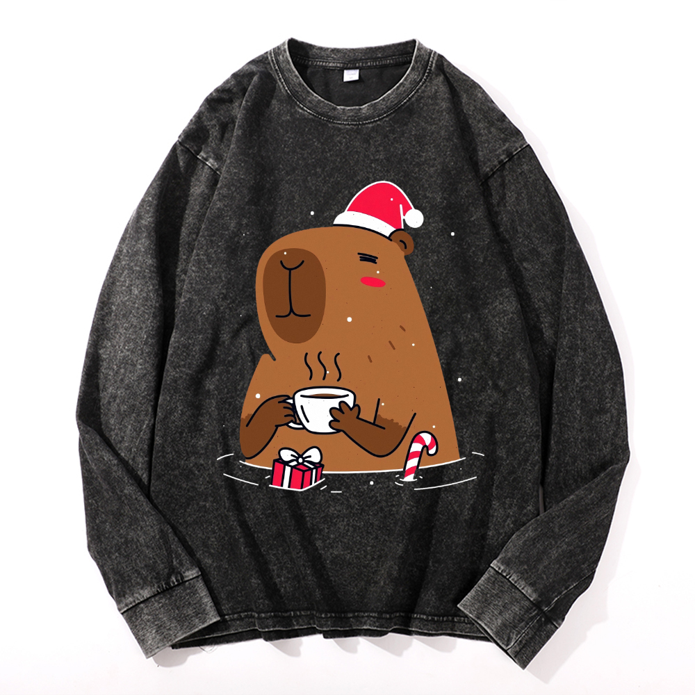 Capybara Vintage Cotton Wash Crewneck Long-Sleeve T-Shirt