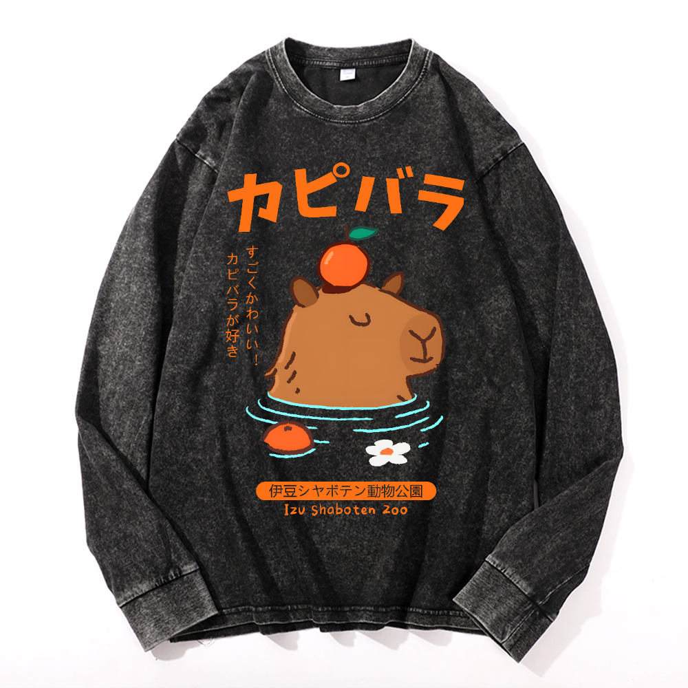 Capybara Vintage Cotton Wash Crewneck Long-Sleeve T-Shirt