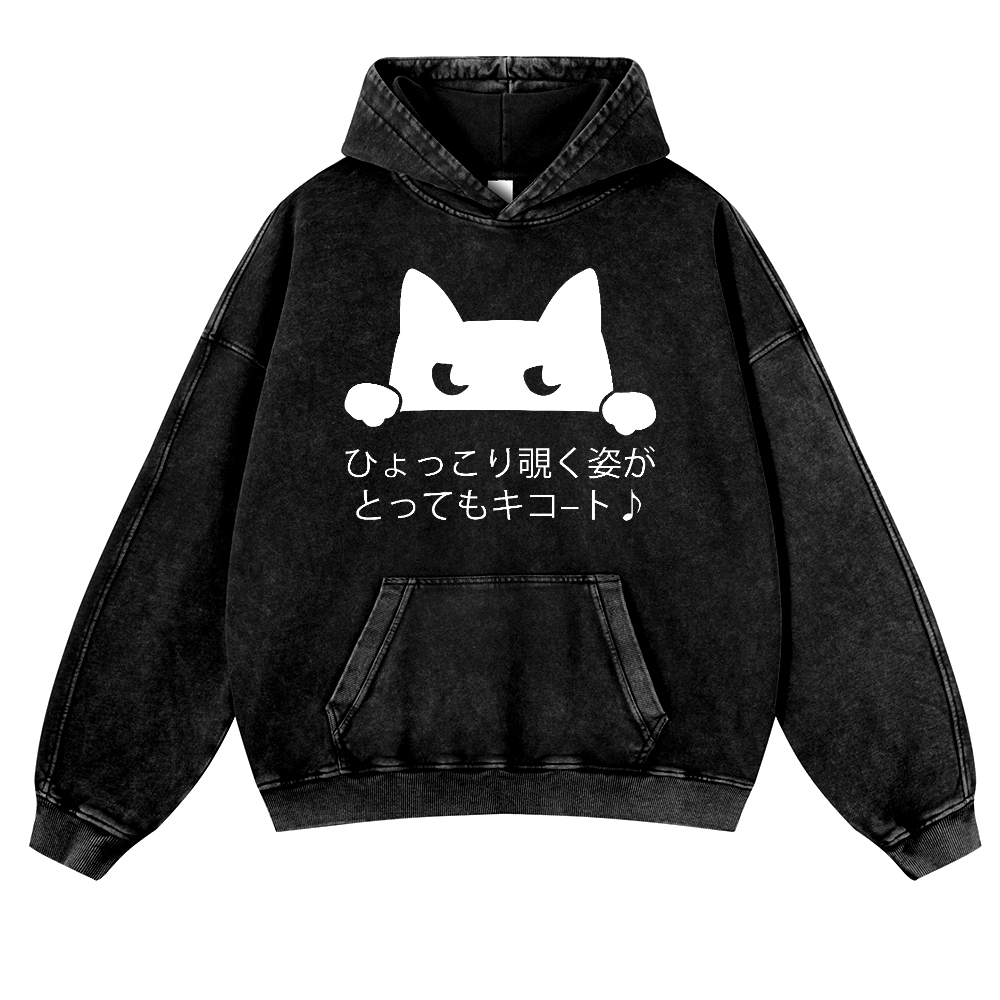 Cat Vintage Washed Thick Cotton Hoodie