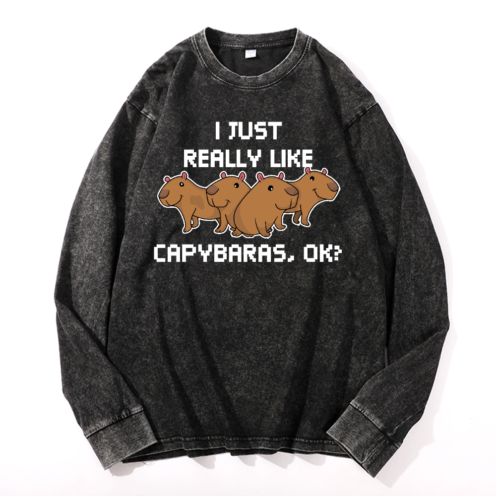 Capybara Vintage Cotton Wash Crewneck Long-Sleeve T-Shirt