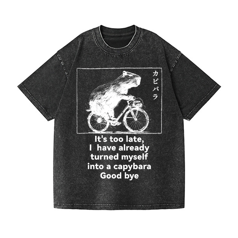 Capybara Vintage Wash Japanese Design T-Shirt