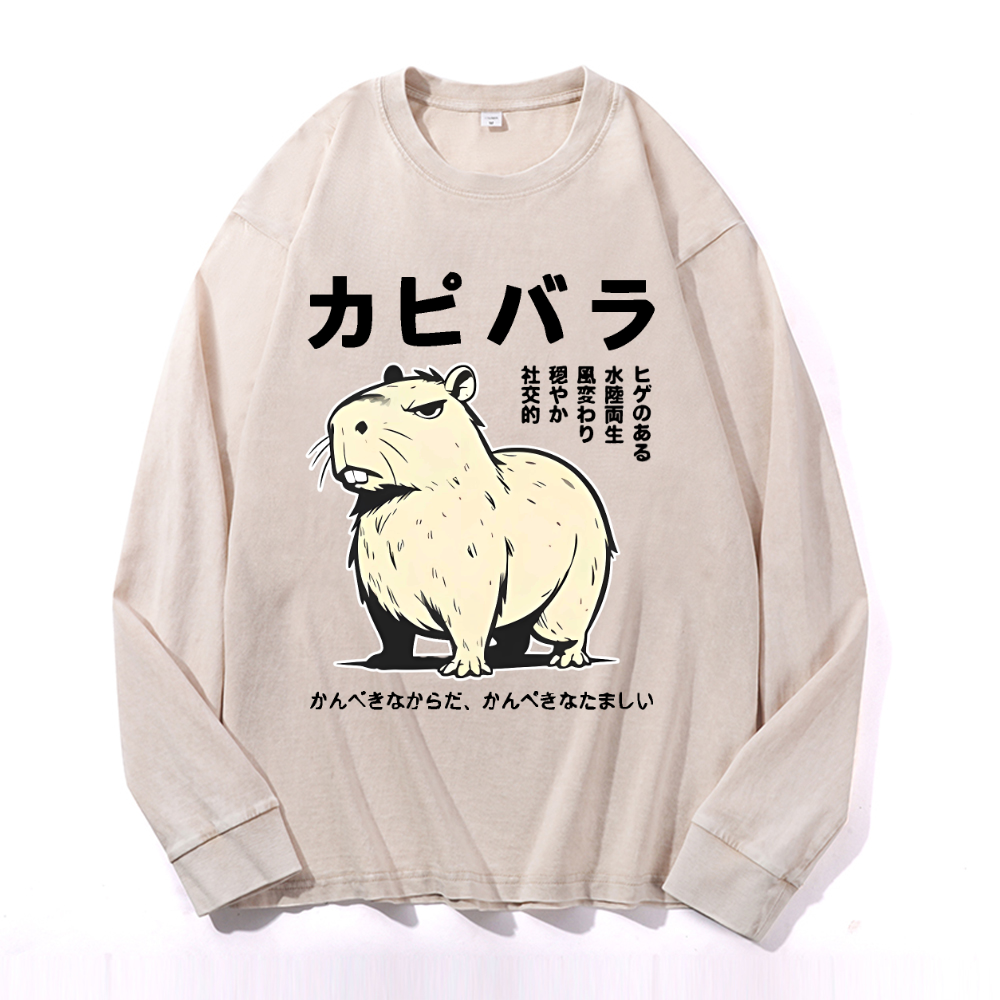 Vintage Cotton Wash Crewneck Long-Sleeve T-Shirt
