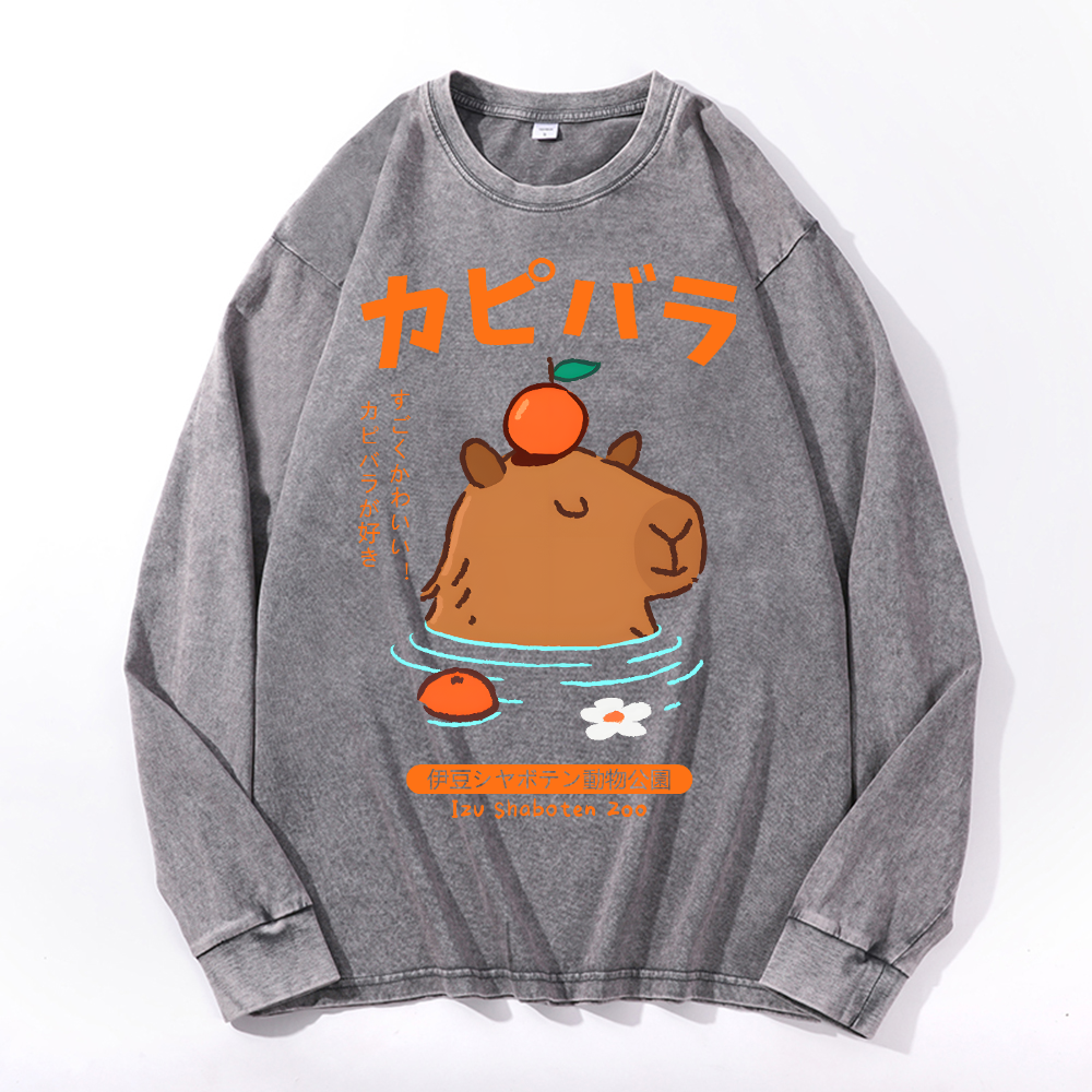Capybara Vintage Cotton Wash Crewneck Long-Sleeve T-Shirt