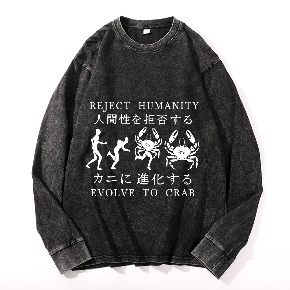 Vintage Cotton Wash Crewneck Long-Sleeve T-Shirt