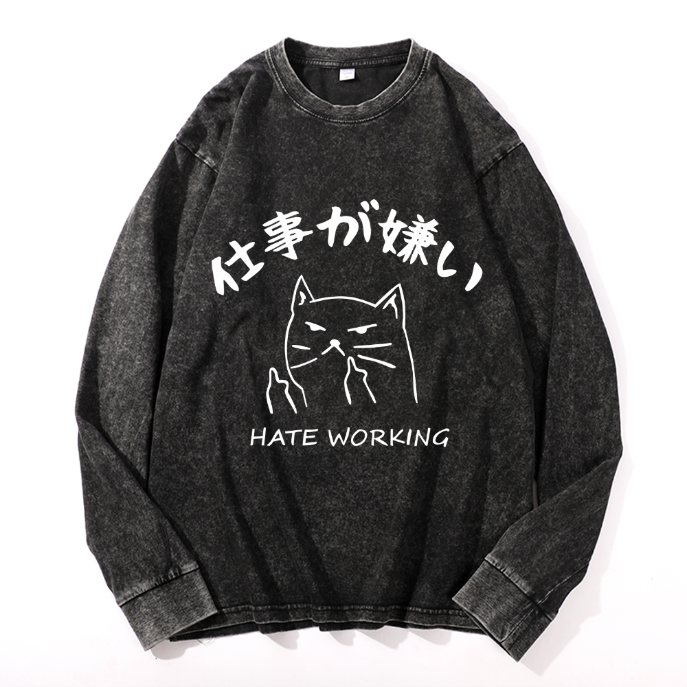 Vintage Cotton Wash Crewneck Long-Sleeve T-Shirt