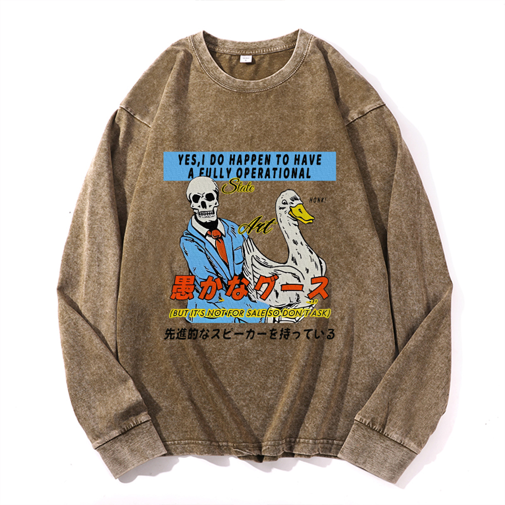 Vintage Cotton Wash Crewneck Long-Sleeve T-Shirt