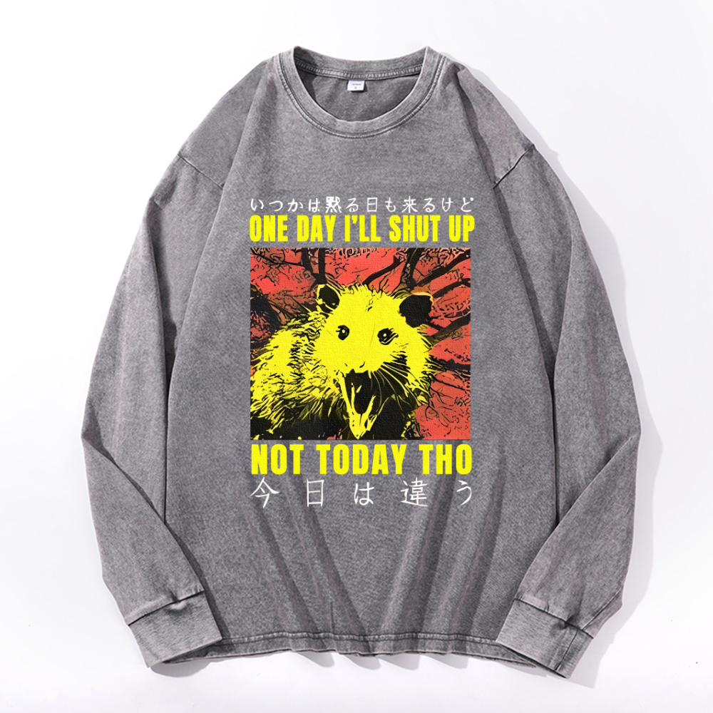 Vintage Cotton Wash Crewneck Long-Sleeve T-Shirt