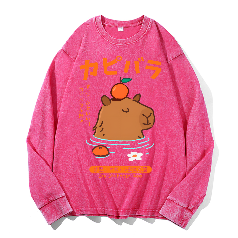 Capybara Vintage Cotton Wash Crewneck Long-Sleeve T-Shirt