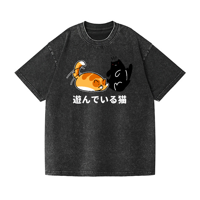 Cat Vintage Wash Japanese Design T-Shirt
