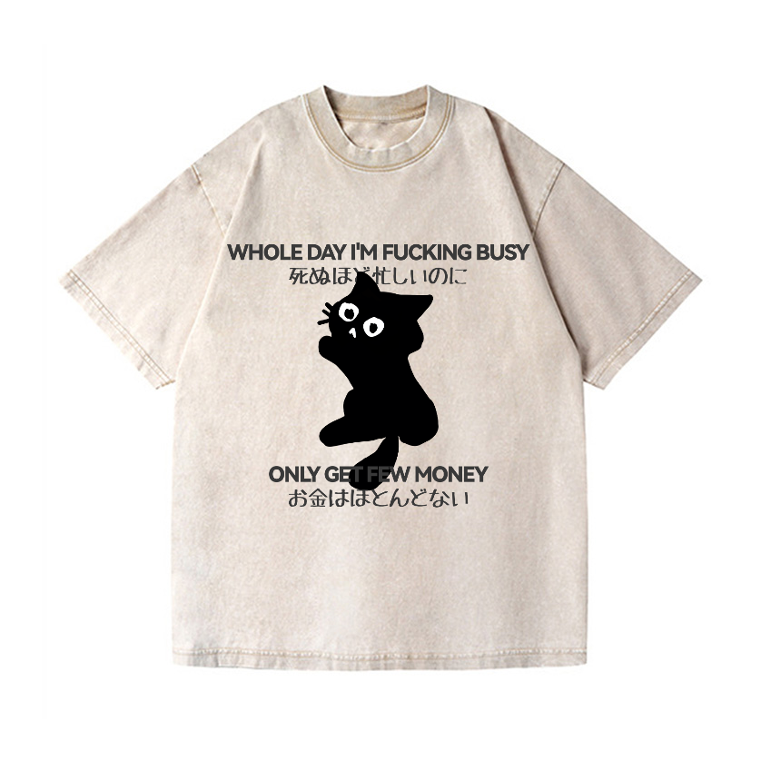 Cat Vintage Wash Japanese Design T-Shirt