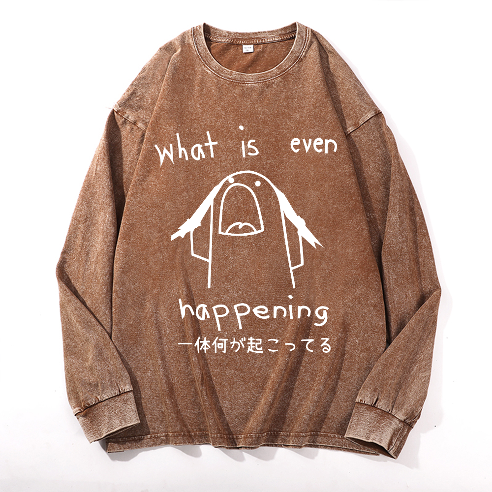What Is Even Happening Vintage Cotton Wash Long-sleeve T-shirt