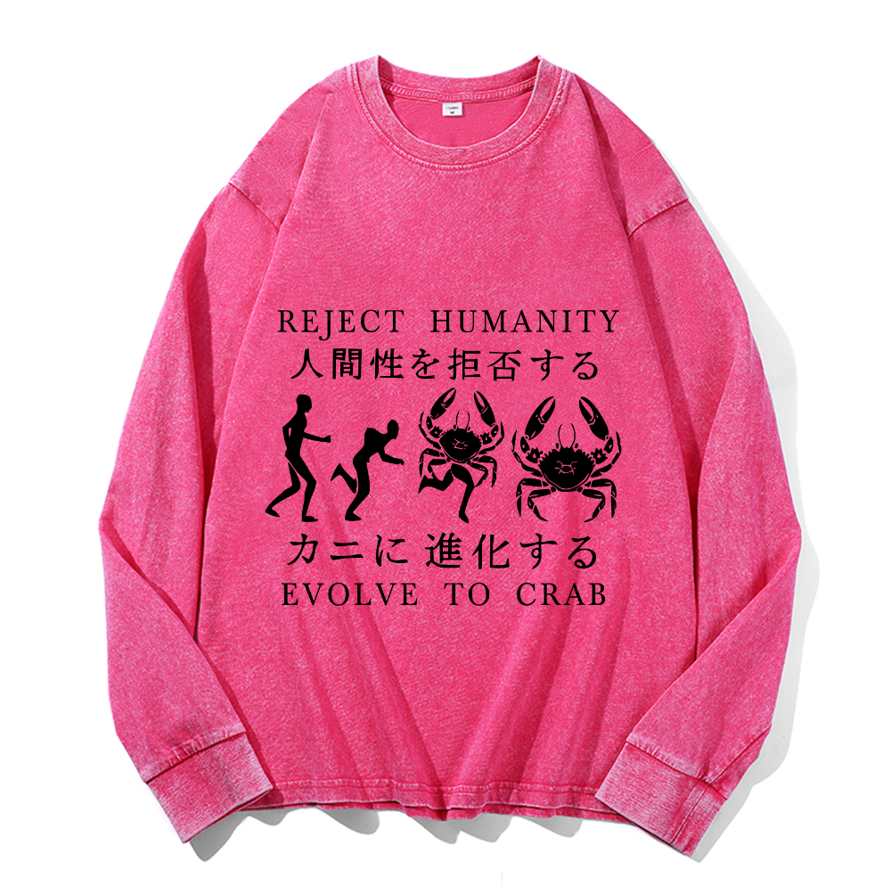 Vintage Cotton Wash Crewneck Long-Sleeve T-Shirt