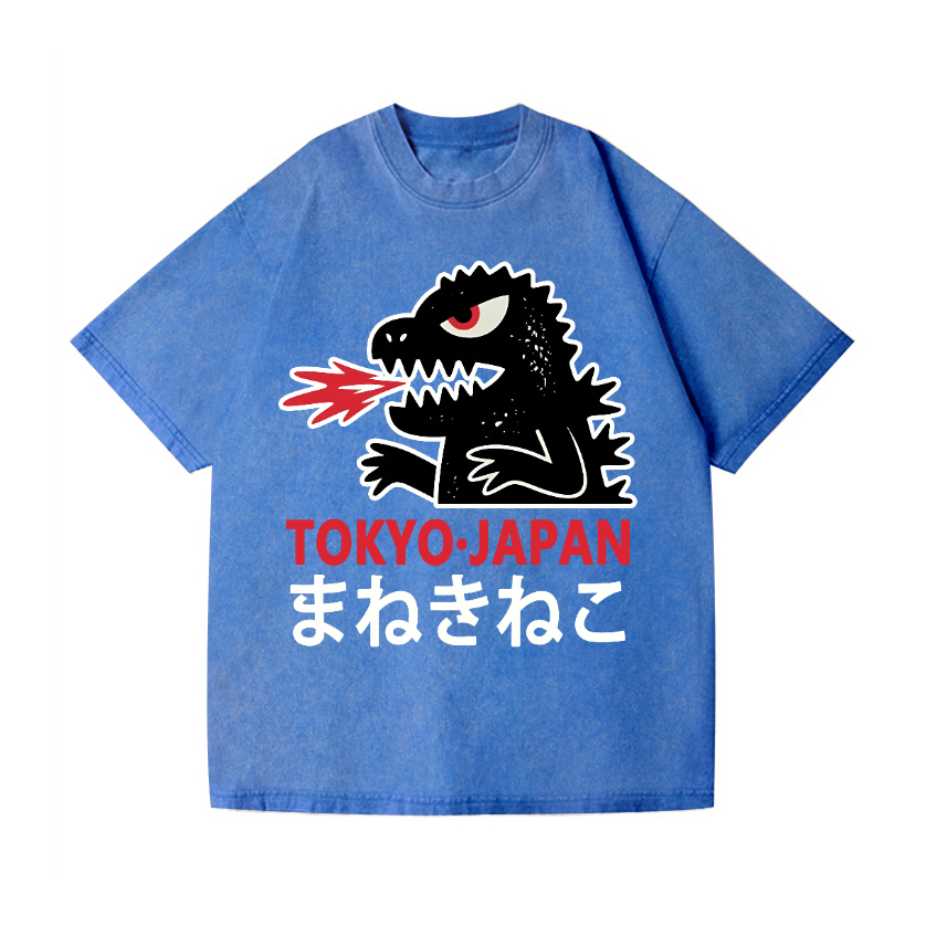 Kaiju Vintage Wash Japanese Design T-Shirt