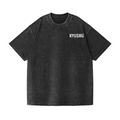 Shinden Fighter Alternate Vintage Wash Japanese Design Back Art T-Shirt