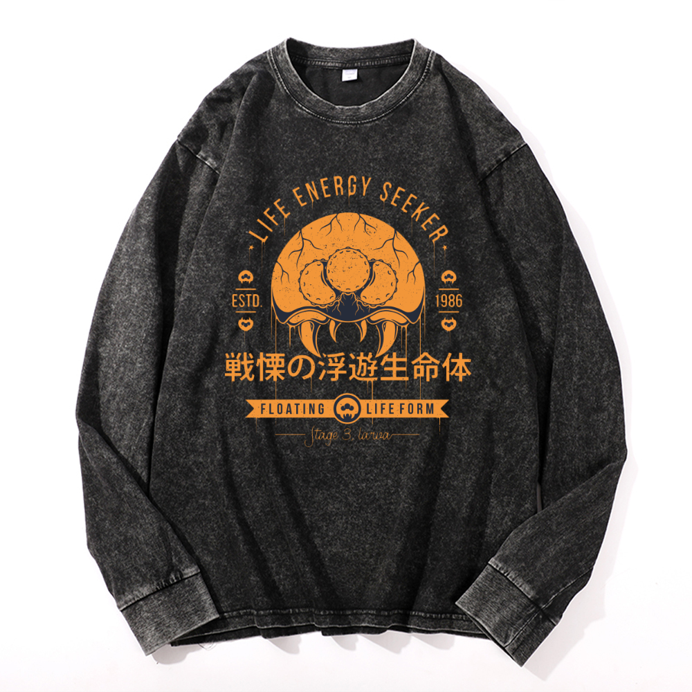 Vintage Cotton Wash Crewneck Long-Sleeve T-Shirt
