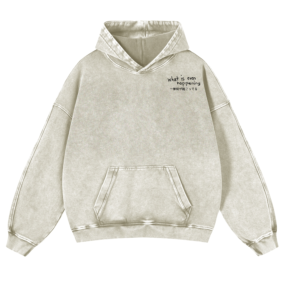 What Is Even Happening Vintage Washed Cotton Back Art Hoodie